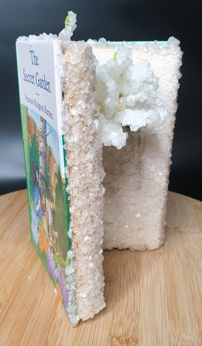 'The Secret Garden' By Frances Hodgson Burnett