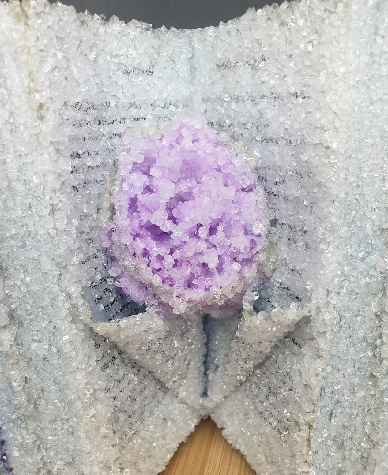 'Lady Chatterley's Confession' By Elaine Feinstein