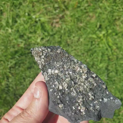 Pyrite on Shungite