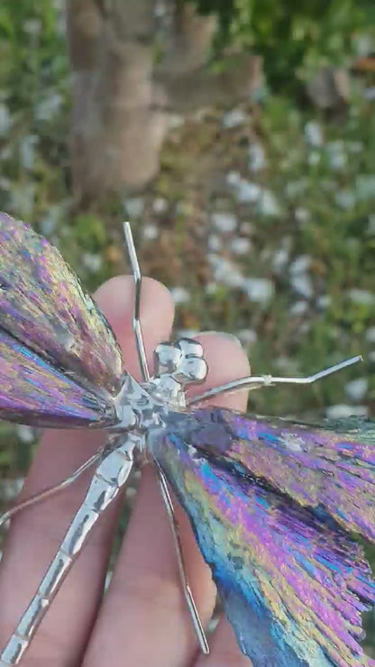 Titanium Aura Dragonfly - Silver