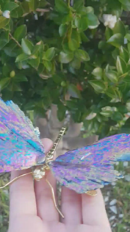 Titanium Aura Dragonfly - Gold