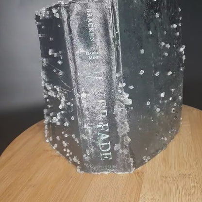 'The Darkest Minds - Never Fade' By Alexandra Bracken