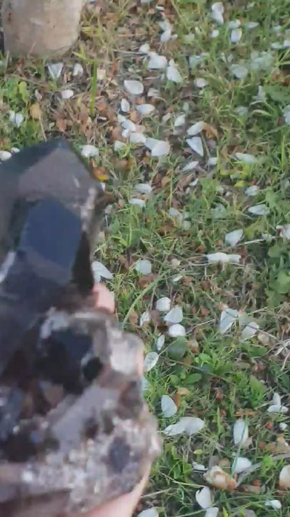 Smoky Quartz Cluster