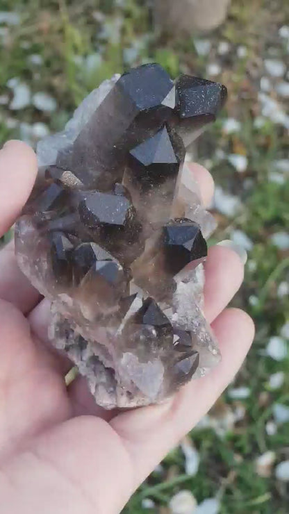 Smoky Quartz Cluster