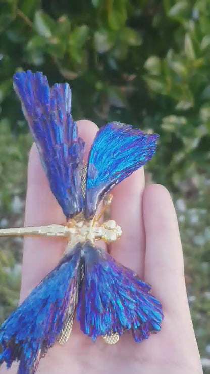 Blue Titanium Aura Dragonfly - Gold