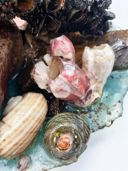 Coastal Table Display / Decor # 1
