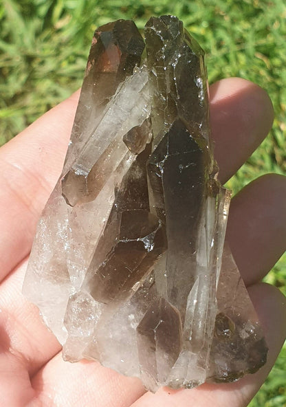 Smoky Quartz Cluster