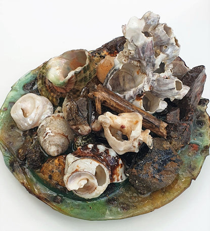 Coastal Table Display / Decor # 2