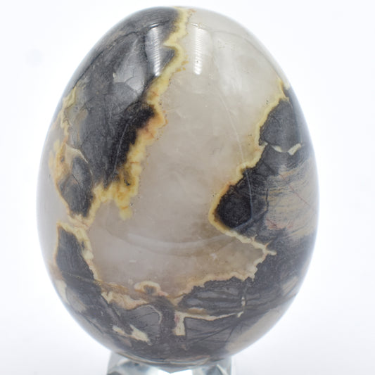 Ngumi Jasper Egg