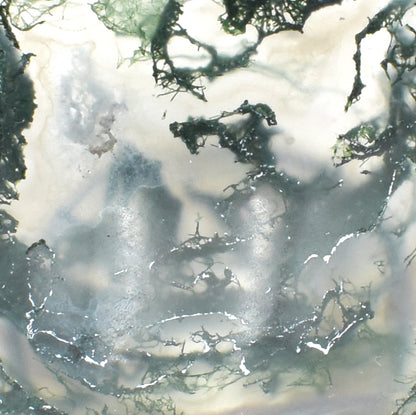 Green moss agate carved into a small polished bowl. stunning formations within and a wavy lining.  close up