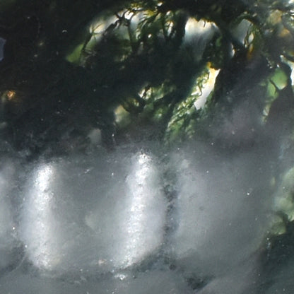 Deep green moss agate carved into a small polished bowl. stunning formations within and a wavy lining.  close up