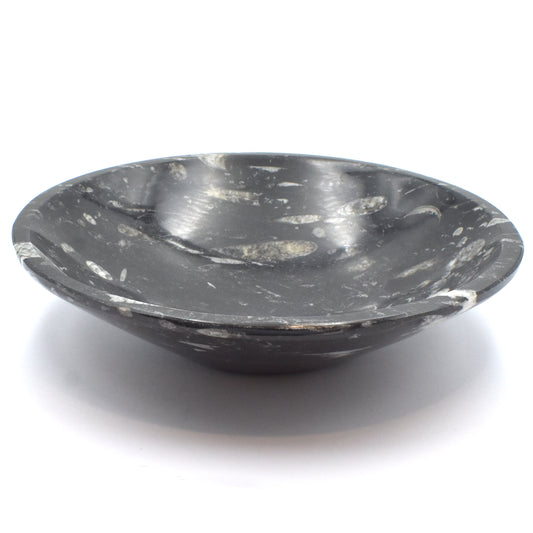 Orthoceras Fossil Crystal Bowl - Extra Large