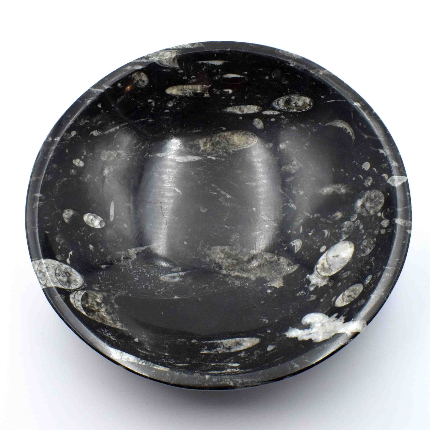 Orthoceras Fossil Crystal Bowl - Extra Large