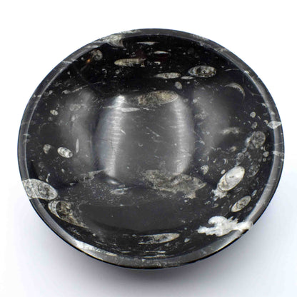 Orthoceras Fossil Crystal Bowl - Extra Large