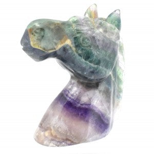 Horse Head - Rainbow Fluorite